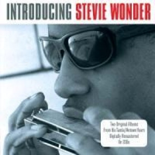 Áudio Introducing Stevie Wonder