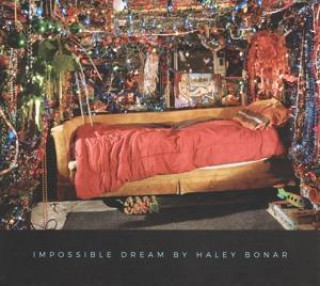 Audio Impossible Dream Haley Bonar
