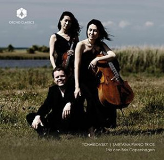 Audio Klaviertrios Trio con Brio Copenhagen