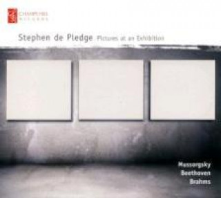 Audio Pictures at an Exhibition Stephen De Pledge