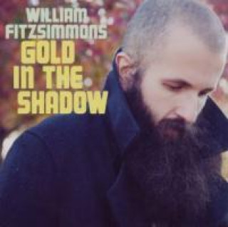 Audio Gold In The Shadow William Fitzsimmons