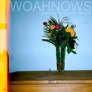 Zvok Understanding and Everything E Woahnows