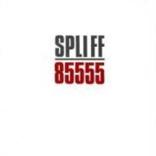 Audio 85555 Spliff