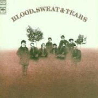 Audio Blood,Sweat & Tears Sweat & Tears Blood