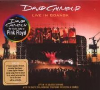 Audio Live In Gdansk David Gilmour
