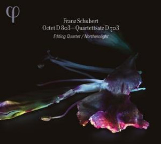 Hanganyagok Oktett D 803/Quartettsatz D 703 Edding Quartet/Northernlight