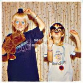 Audio The Bloom And The Blight Two Gallants