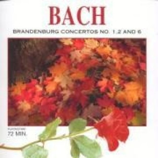 Audio Bach Various