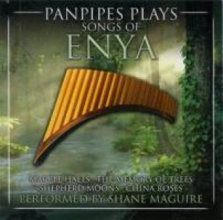 Audio Panpipes Plays Songs Of Enya Shane Maguire