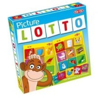 Joc / Jucărie Picture Lotto 