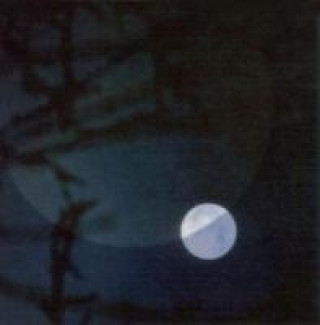 Zvok Two Moons Terje Isungset