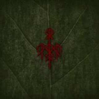 Audio Yggdrasil Wardruna