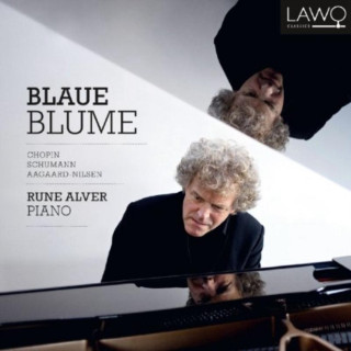 Audio Blaue Blume Rune Alver