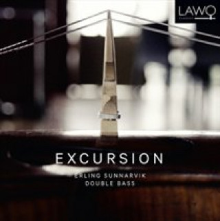Audio Excursion,Music for double bass Erling Sunnarvik