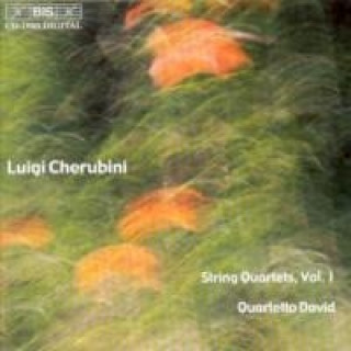 Audio Streichquartette Vol.1 Quartetto David