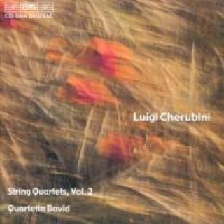 Audio Sämtliche Streichquartette vol.2 Quartetto David
