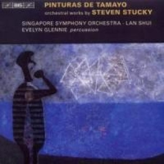 Audio Pinturas de Tamayo-Orchesterwerke Evelyn/Shui Glennie