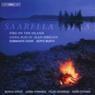 Audio Saarella palaa-Feuer auf der Insel Groop/Hynninen/Gräsbeck/Viitanen/Murto/Dominante C