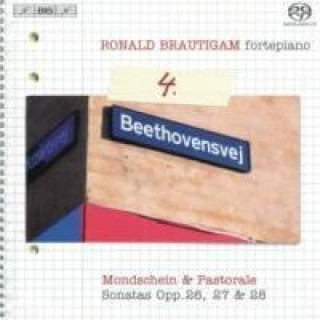 Audio Sämtliche Klavierwerke Vol.4 Ronald Brautigam