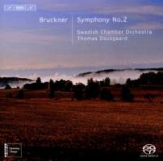 Audio Sinfonie 2 C-Moll Thomas/Swedish Chamber Orchestra Dausgaard