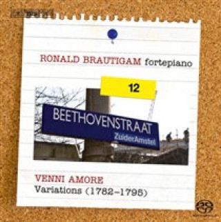 Audio Sämtliche Klavierwerke vol.12: Variationen vol.2 Ronald Brautigam