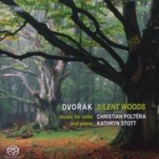 Audio Silent Woods-Stille Wälder Christian/Stott Poltera