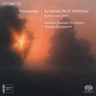 Audio Sinfonie 6 Pathetique Thomas/Swedish Chamber Orchestra Dausgaard