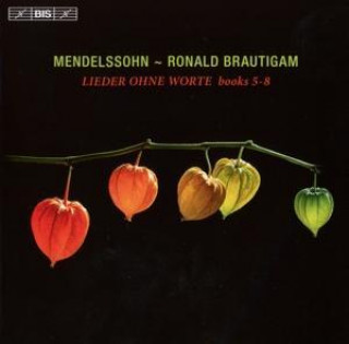 Audio Lieder ohne Worte,Hefte 5-8 Ronald Brautigam