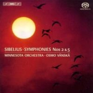 Audio Sinfonien Nrn.2 und 5 Osmo/Minnesota Orchestra Vänskä