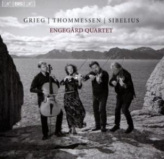 Hanganyagok Streichquartette Engegard Quartet