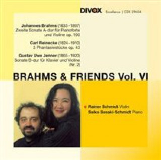 Audio Brahms & Freunde Vol.6 R. /Sasaki-Schmidt Schmidt