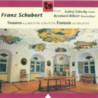 Аудио Sonaten Für Violine und Klavier Andrej Lütschg