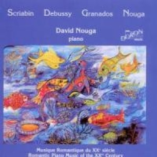 Аудио Romantische Klaviermusik des 20.Jahrhunderts David Nouga