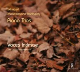 Audio Klaviertrios Voces Intimae