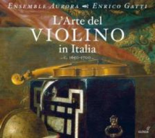 Audio L'Arte Del Violino In Italia Gatti/Ensemble Aurora