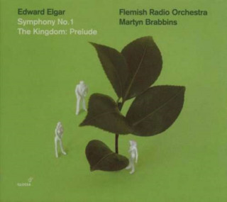 Аудио Sinfonie 1/The Kingdom-Prelude Flamish Radio Orchestra/Brabbins