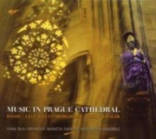 Audio Musik in der Prager Kathedrale Broukova/Cikrova/Hipocondria Ensemble
