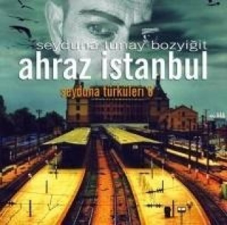 Audio Ahraz Istanbul - Seyduna Türküler 6 2 CD Seyduna Tunay Bozyigit