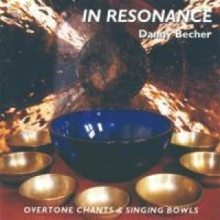 Audio In Resonance Danny Becher