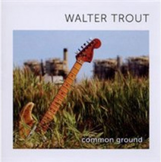 Audio Common Ground Walter Trout