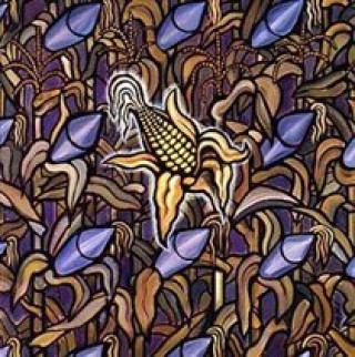 Hanganyagok Against The Grain/Reissue Bad Religion