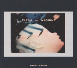 Аудио Flesh And Machine Daniel Lanois