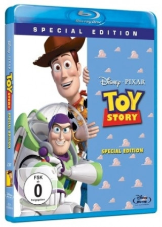 Video Toy Story Robert Gordon