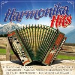 Zvok Harmonika Hits Various