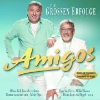 Audio Die groáen Erfolge Amigos