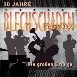 Audio Die groáen Erfolge-30 Jahre Blechschaden by Bob Ross