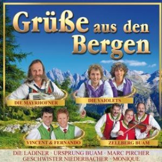 Audio Grüáe aus den Bergen Various