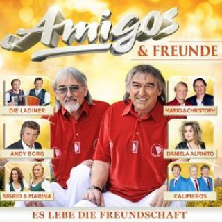 Audio Amigos & Freunde Various