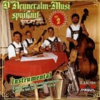 Audio Spuit Auf/Nr.2 (Instrumental) Neuneralm Musi
