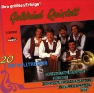 Audio Ihre Gröáten Erfolge!/20 Top Goldried Quintett